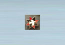 11. Quaker Star Badge